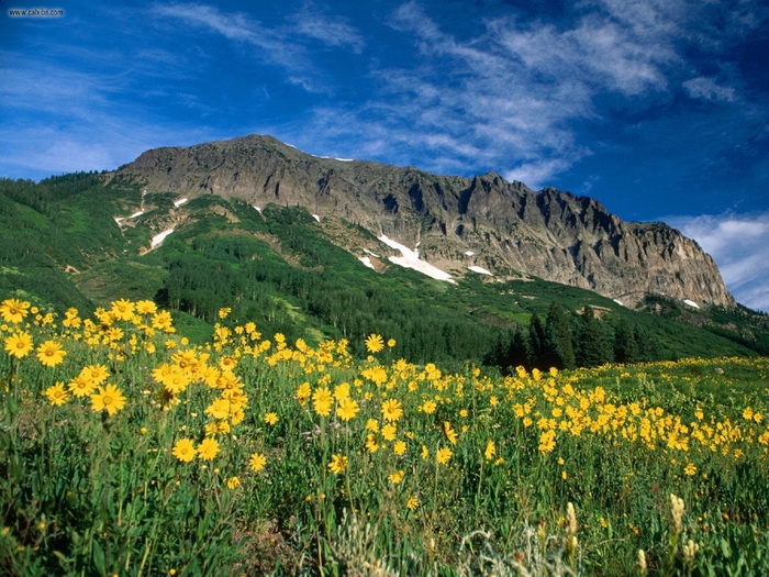 Crested_Butte_Colorado_1152x864 (700x525, 370Kb)