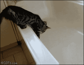 Cat-bathtub-panic (1) (284x222, 1017Kb)