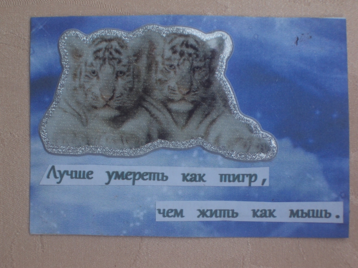 DSC01950 (700x525, 266Kb)