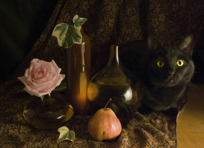 Capture002 (700x508, 559Kb)