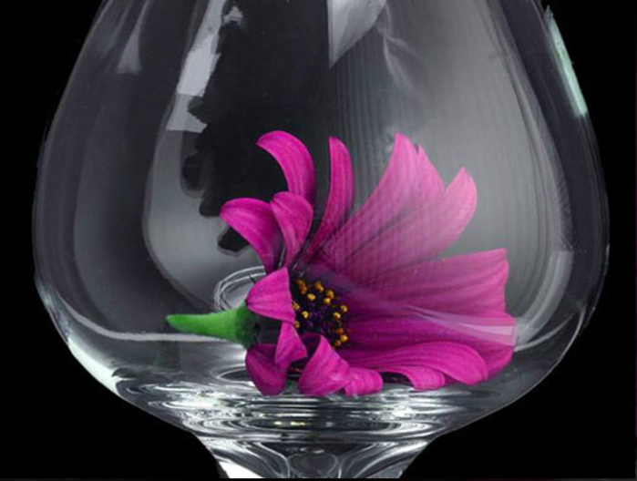 Capture29 (700x528, 352Kb)