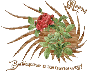 0_af07c_68b69f60_M.jpg (300x245, 98Kb)