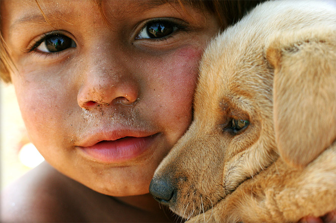 66080390_children_with_animals_4 (670x445, 132Kb)