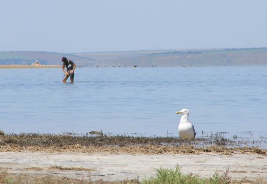 images-stories-remote-http--www.ladyksu.kiev.ua-virtual-outing-odessa-odessa_liman002-521x359 (521x359, 24Kb)
