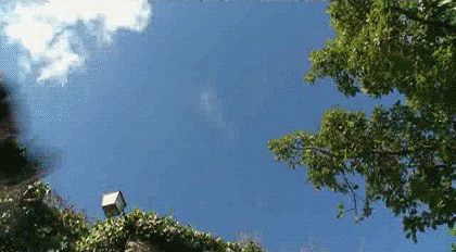 0_8ad44_5ce6ed32_orig (420x232, 1028Kb)