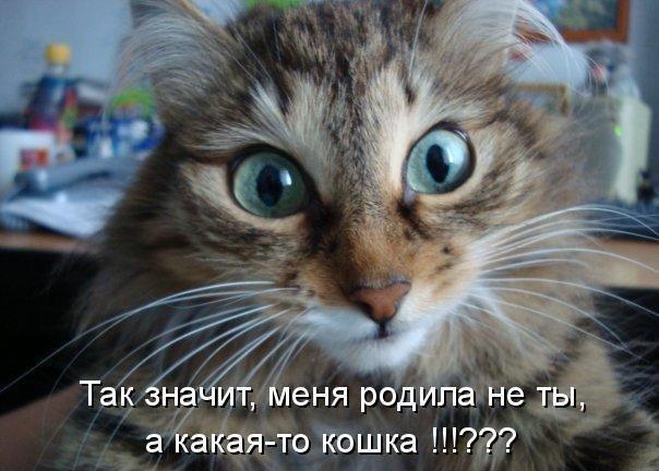 15 (604x432, 46Kb)