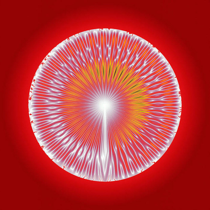 4826692_1333893607_1100 (700x700, 187Kb)