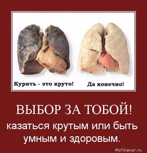 153-vybor_za_toboi_kazatisia_krutym_ili_byti_umnym_i_zdorovym (475x494, 54Kb)