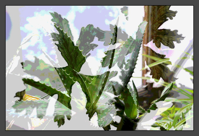Otrajenie_II (700x478, 121Kb)