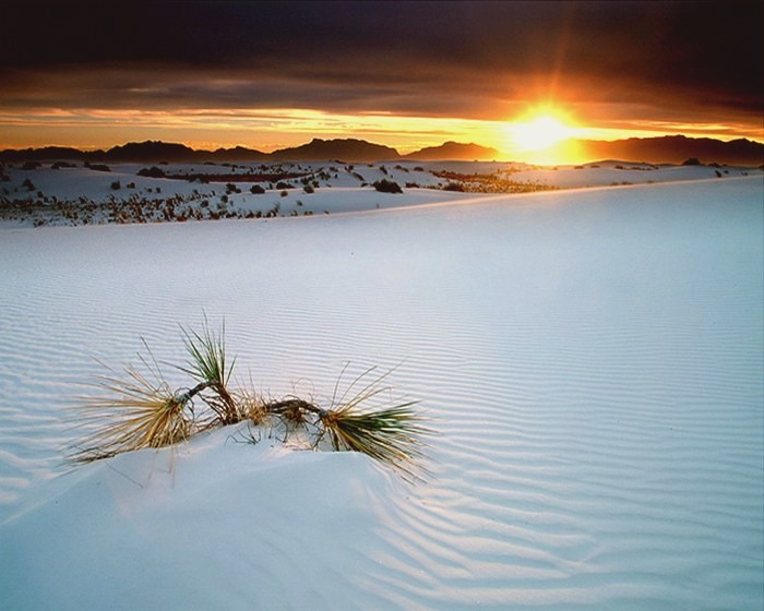 White_Sands_park_3 (700x560, 73Kb)