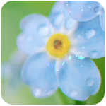 fmn_05 (150x150, 38Kb)