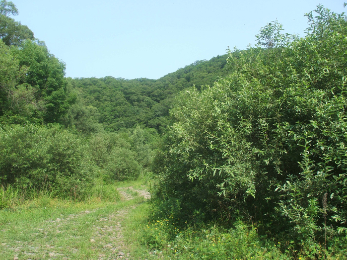 DSCF2277 (700x523, 542Kb)