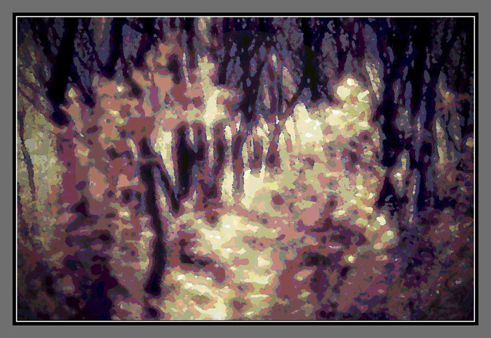 Drevo_VIIIA (700x481, 144Kb)