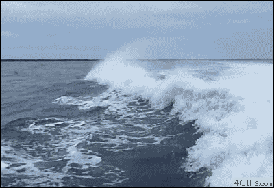 Dolphin-collision (400x275, 1015Kb)