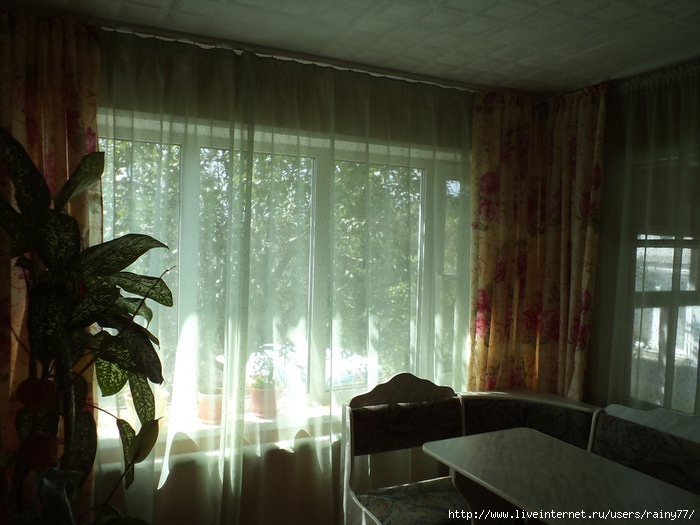 DSC02508 (700x525, 196Kb)