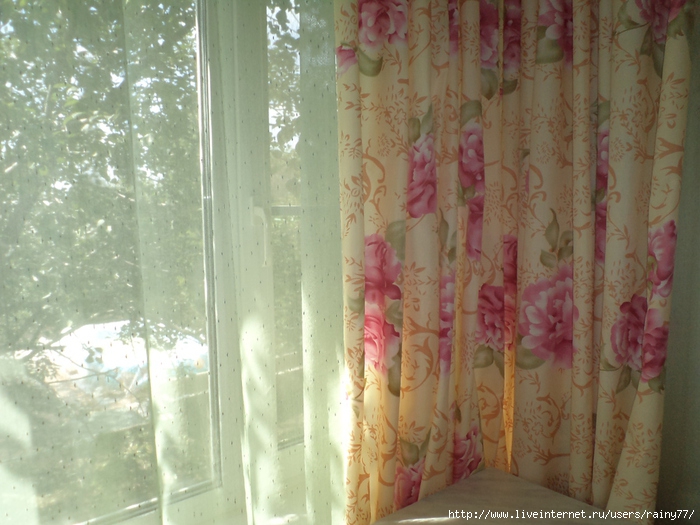 DSC02509 (700x525, 268Kb)