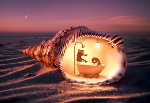 sea_horse_home_bathroom_seahorse_photoart_beach-e2a024cf82032c4bc5705271016ea486_h_large (500x342, 41Kb)