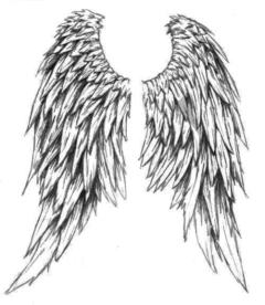 tattoo_design_wings.3sxu4dxbsu84u8s4oc8w00o8g.b4qubkbf7m3xwcsck8skkocwg.th1 (240x276, 84Kb)