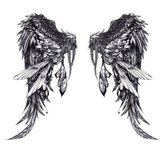 Wings_3_by_muju3 (700x633, 521Kb)