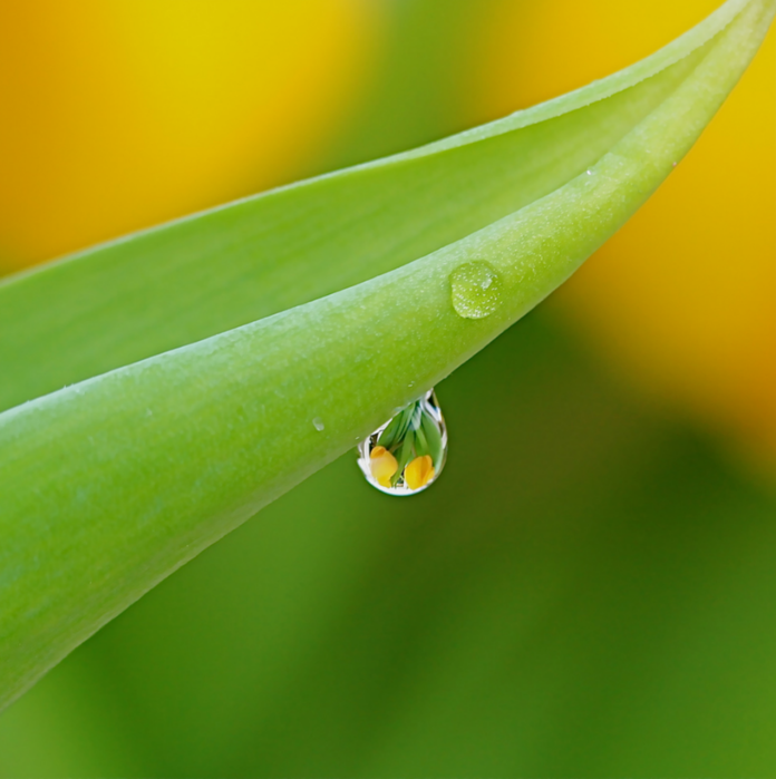 All-sizes-Listen-to-the-rhythm-of-the-falling-rain-Flickr-Photo-Sharing (696x700, 456Kb)