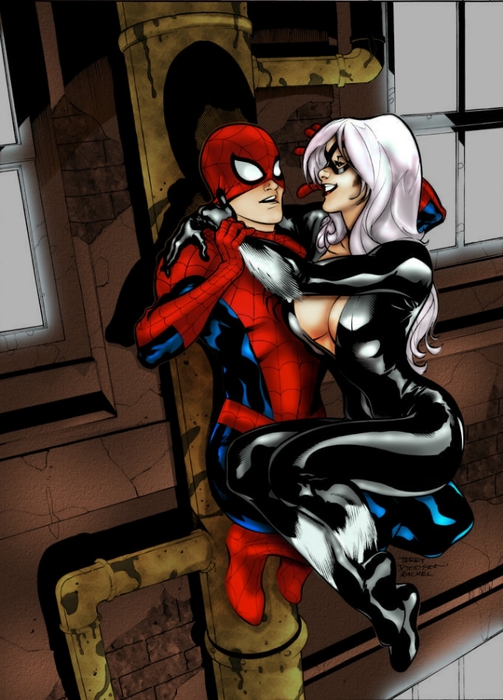 Spidey_and_Black_Cat_by_azoulin (503x700, 244Kb)