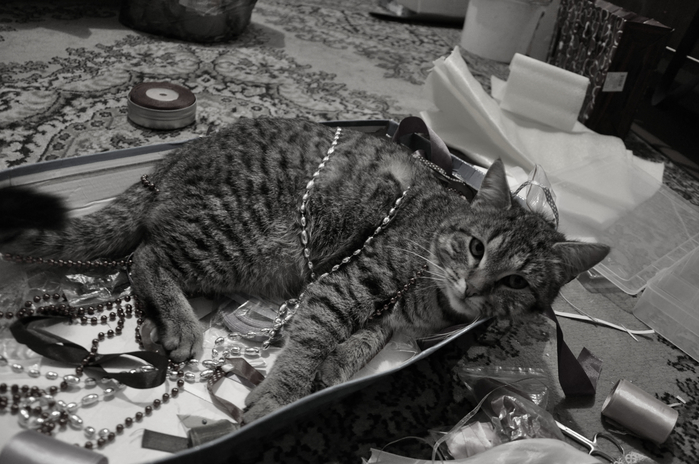 DSC_0449 (700x464, 260Kb)