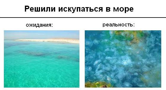 sea (560x303, 25Kb)