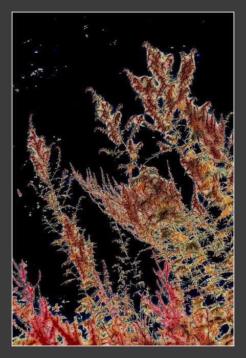 Avgust_VI (481x700, 182Kb)