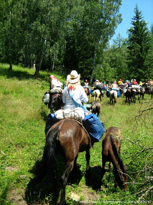 IMG_0720 (525x700, 499Kb)