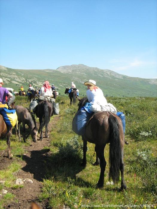 IMG_0732 (525x700, 360Kb)