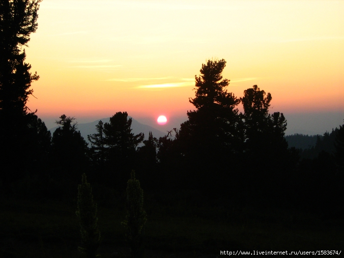 IMG_0743 (700x525, 208Kb)