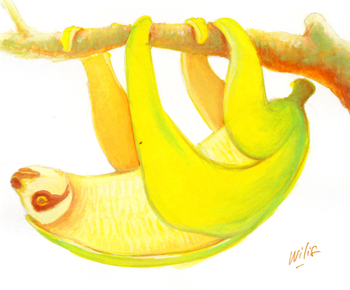bananasloth_by_willustration_large (500x415, 218Kb)