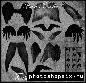 3354683_1217959386_feathered_a_w_brushes (300x291, 30Kb)