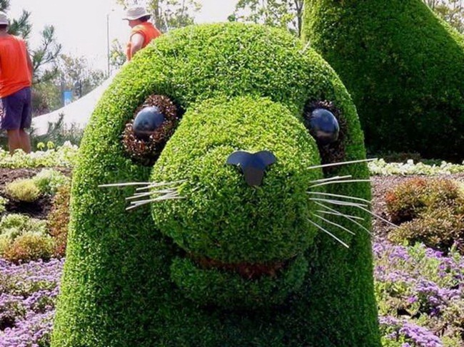 topiary-animals-08 (650x487, 167Kb)