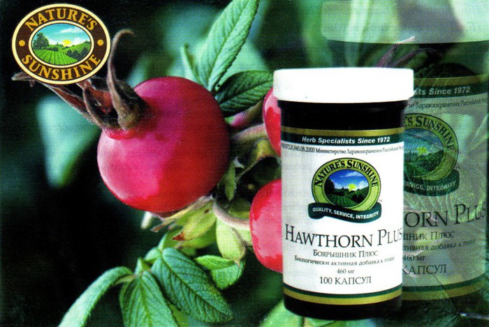 hawthorn-plus-foto (700x469, 118Kb)