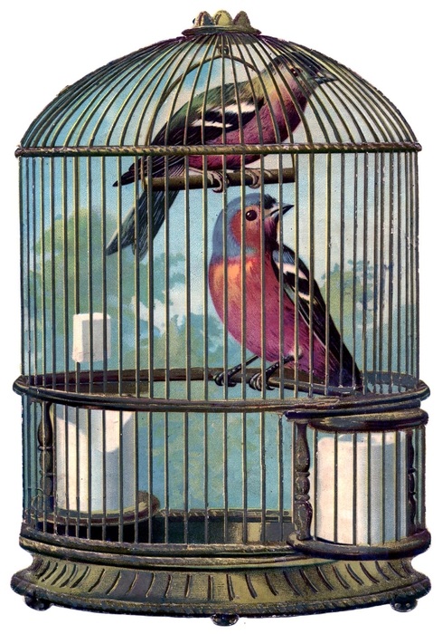 bird cage vintage image GraphicsFairy004sm (489x700, 297Kb)
