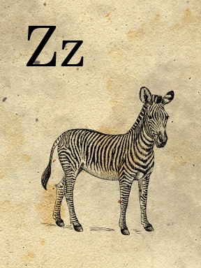 z- zebra - sweetly scrapped (288x384, 122Kb)