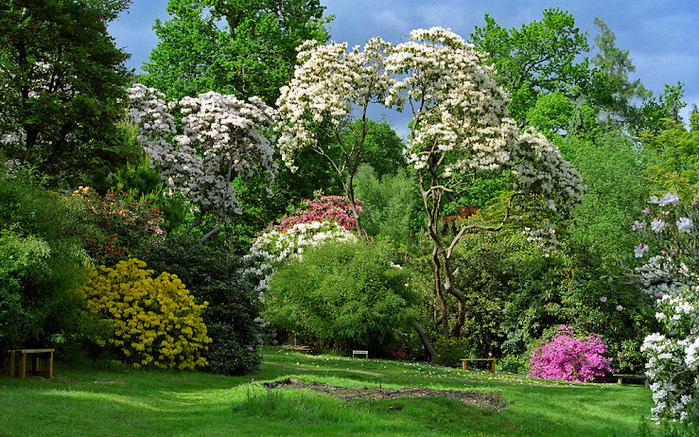 Leonardslee Gardens (  ) 5.jpg ,  (700x437, 256Kb)