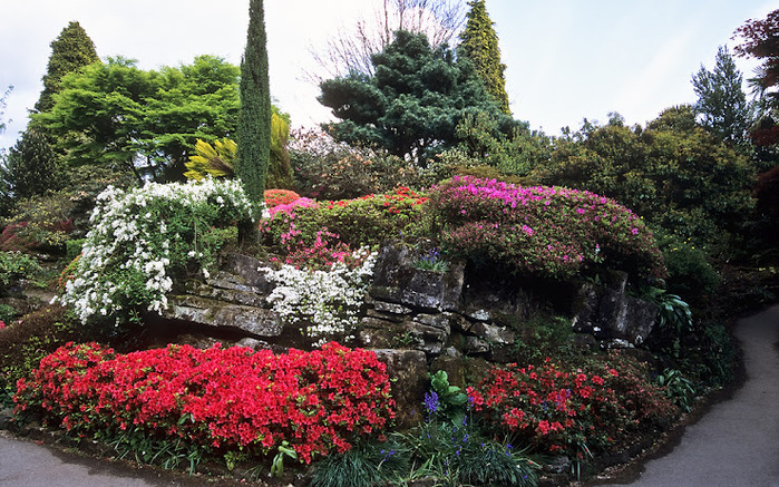 Leonardslee Gardens (  ) 06.jpg ,  (700x437, 226Kb)