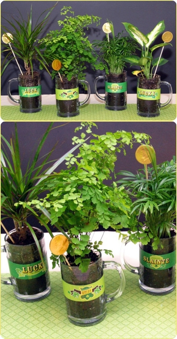 potted-plant-beer-mug-centerpieces (365x700, 245Kb)