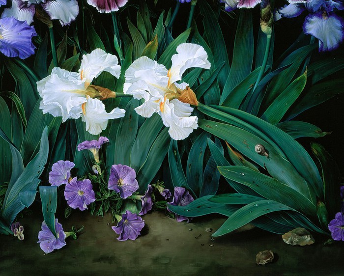 A VISION OF IRISES Detail copy (700x562, 128Kb)