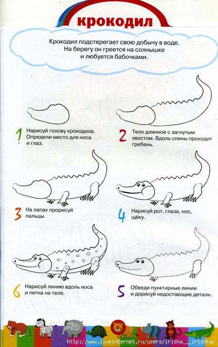 Животных рисовать по шагам