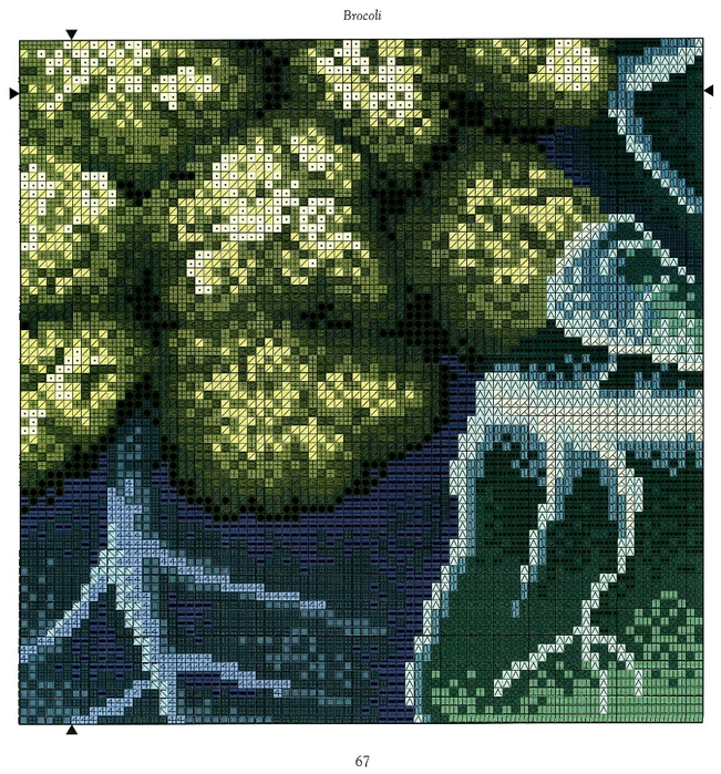 Brocoli (5) (651x700, 440Kb)