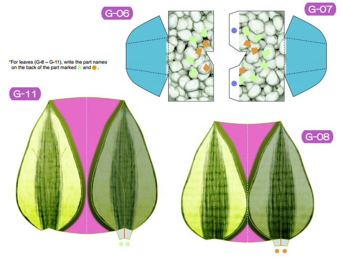 Цветные шаблоны сансевиерии. Цветы из бумаги (3)