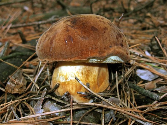 22 (640x480, 80Kb)