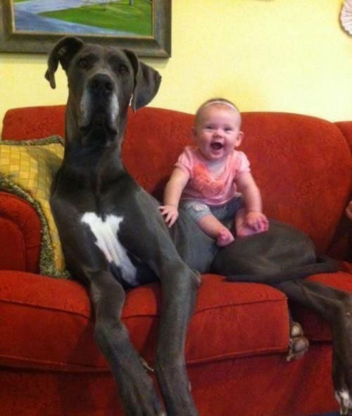 tumblr_m1ji61hcjw1r38hk2o1_500 (500x591, 33Kb)