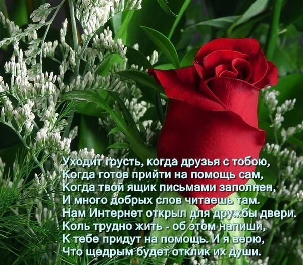 http://img1.liveinternet.ru/images/attach/c/6/90/574/90574095_druzya_ryadom_uhodit_grust.jpg