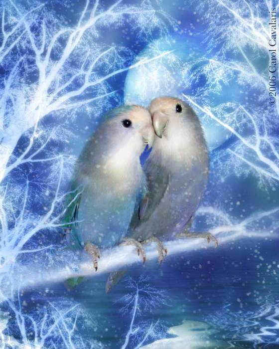 07_WinterLove_Pic (560x700, 58Kb)