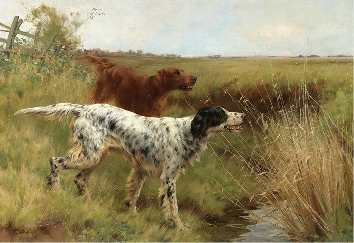 1304457003_an-english-and-an-irish-setter-in-a-landscape (700x480, 406Kb)