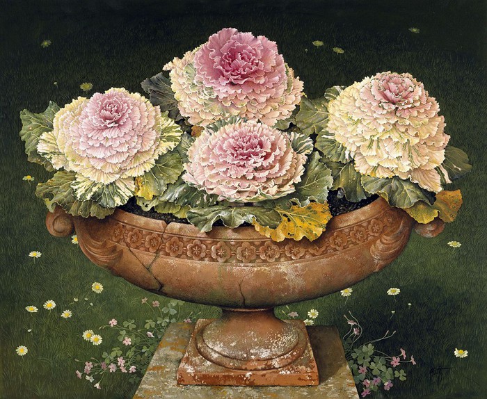 ornamental cabbages 91 x 106cm copy 2 (700x574, 165Kb)